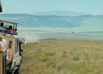 Mangi Africa Tours and Safari limited1