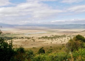 Mangi Africa Tours and Safari limited15