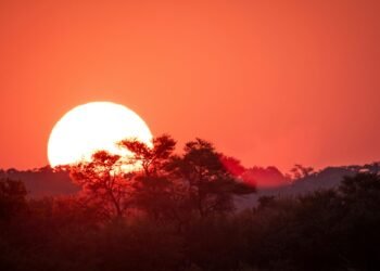 Mangi Africa Tours and Safari limited8