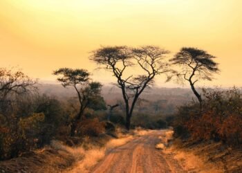 Mangi africa tours and safari limited