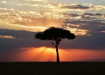 Mangi africa tours and safari limited.jpg 2