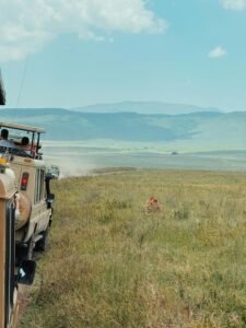Big five safari-mangi africa tours