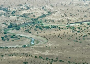 mangi africa tours