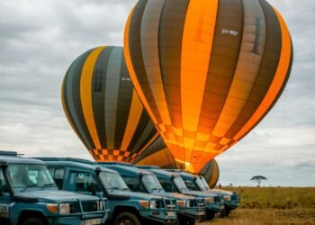 mangi africa tours