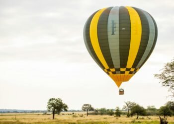 pexels-tanzania-wild-sky-986912744-20179674