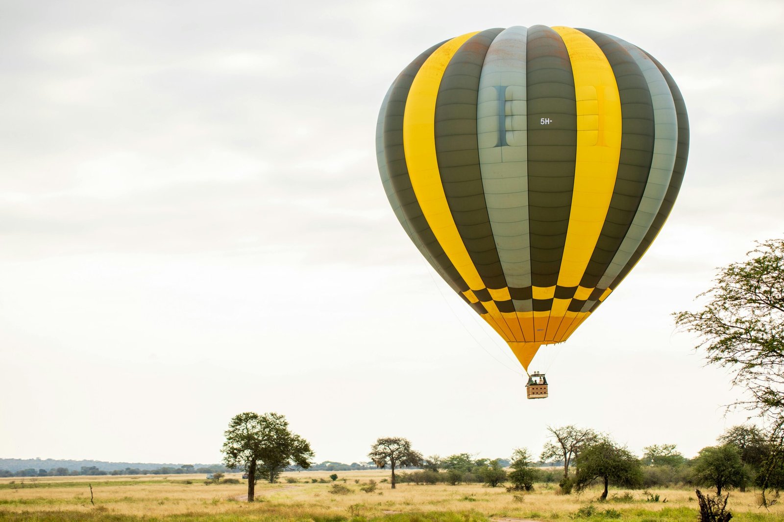 mangi africa tours