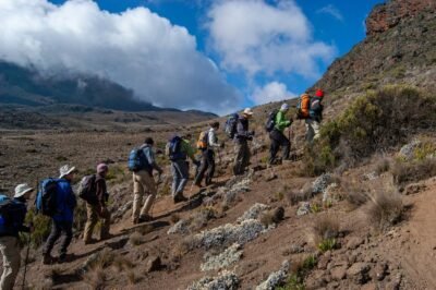 Kilimanjaro Join Tours