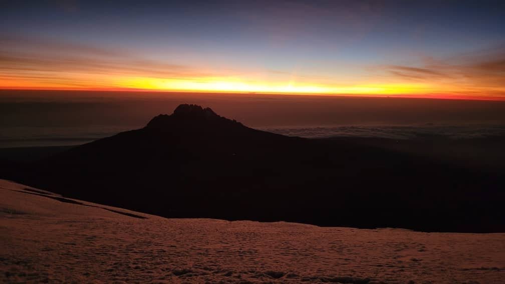 lion-safari-serengeti