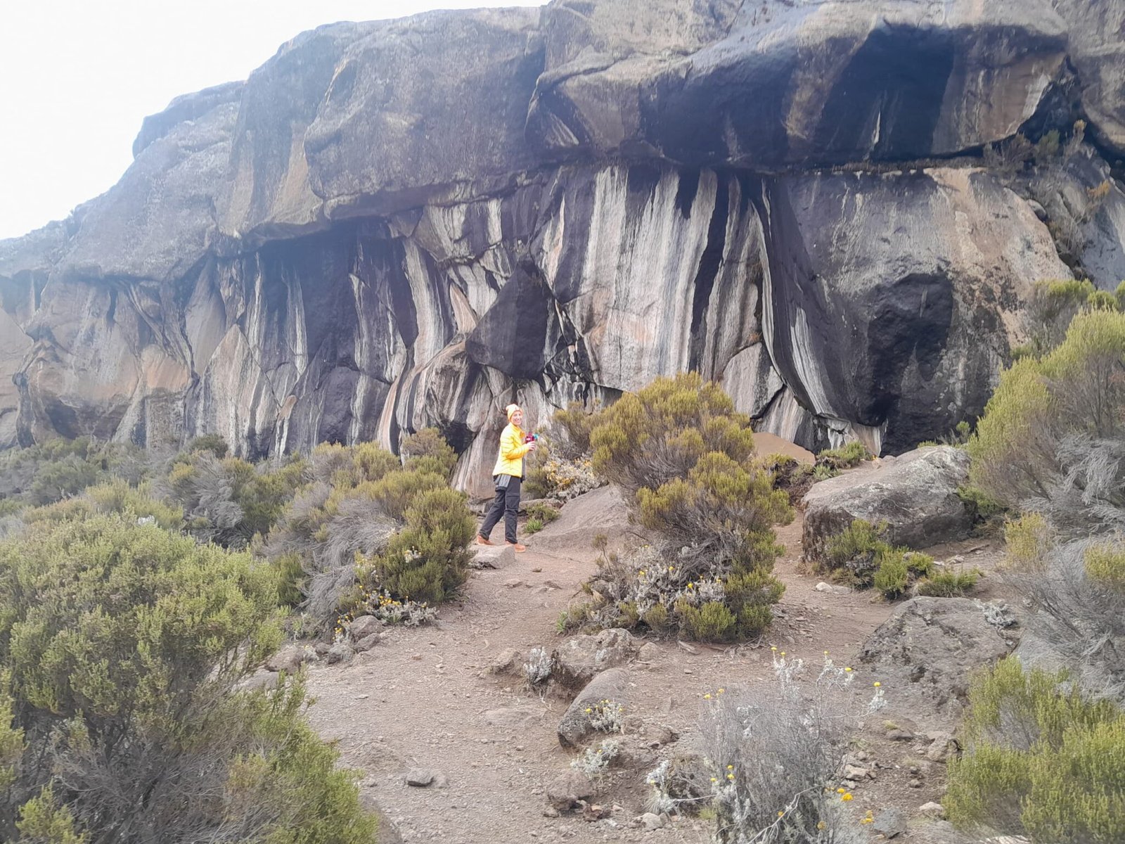 mangi africa tours