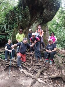 Climb mount kilimanjaro-mangi africa tours