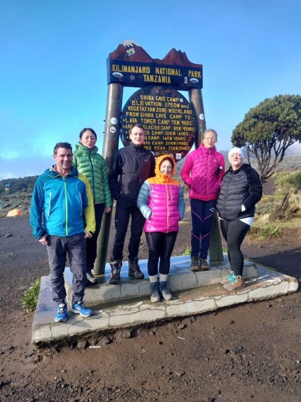 mangi africa tours
