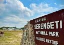 big five safari-mangi africa tours