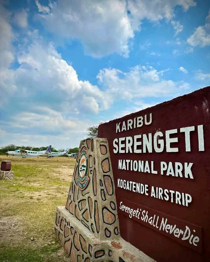 big five safari-mangi africa tours