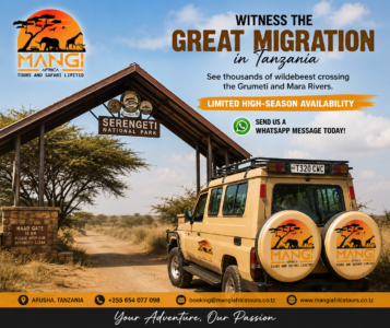 mangi africa  tours 