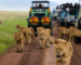 mangi africa tours