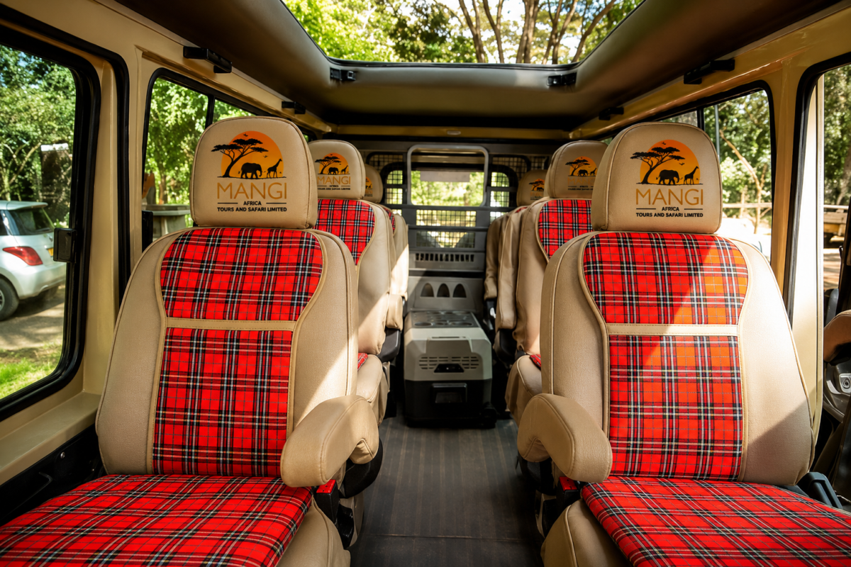 mangi africa tours-vehicle sit