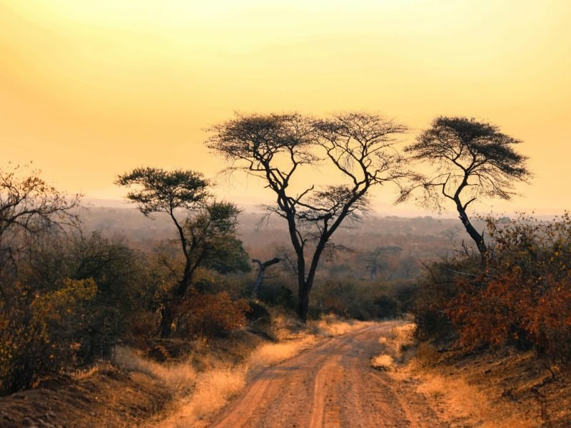 Mangi africa tours and safari limited