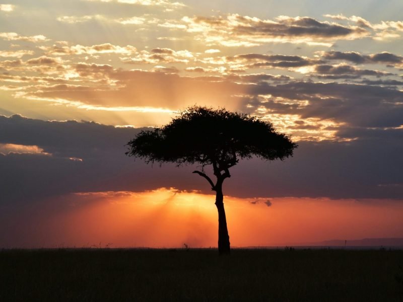 Mangi africa tours and safari limited.jpg 2