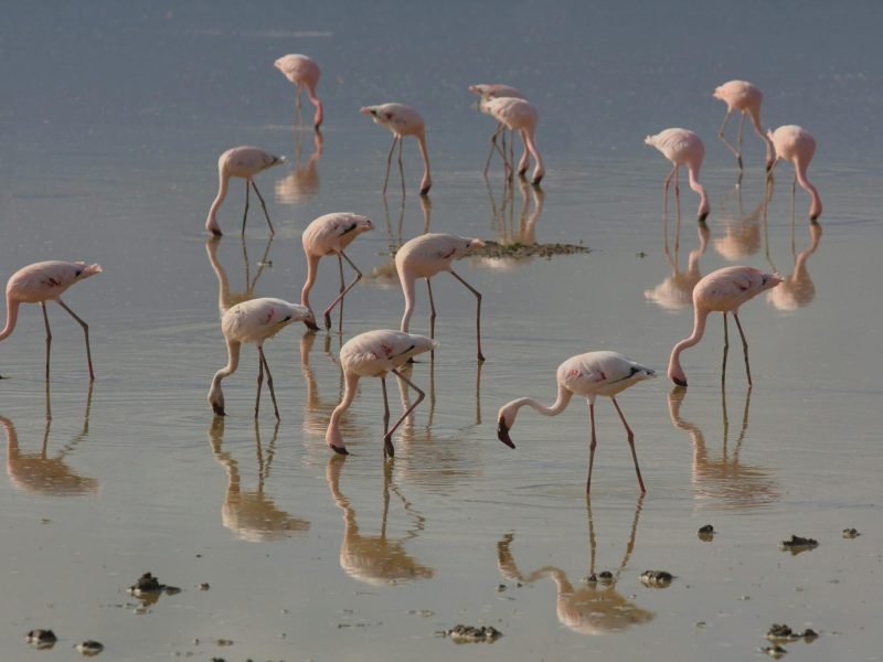 Mangi africa tours and safari limited.jpg 5