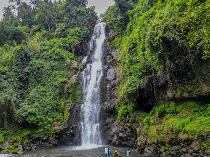 Marangu-day-trip_12-qu8ngjd9wir1v9e71mkeslx88qqg89vc9mipcicvw0